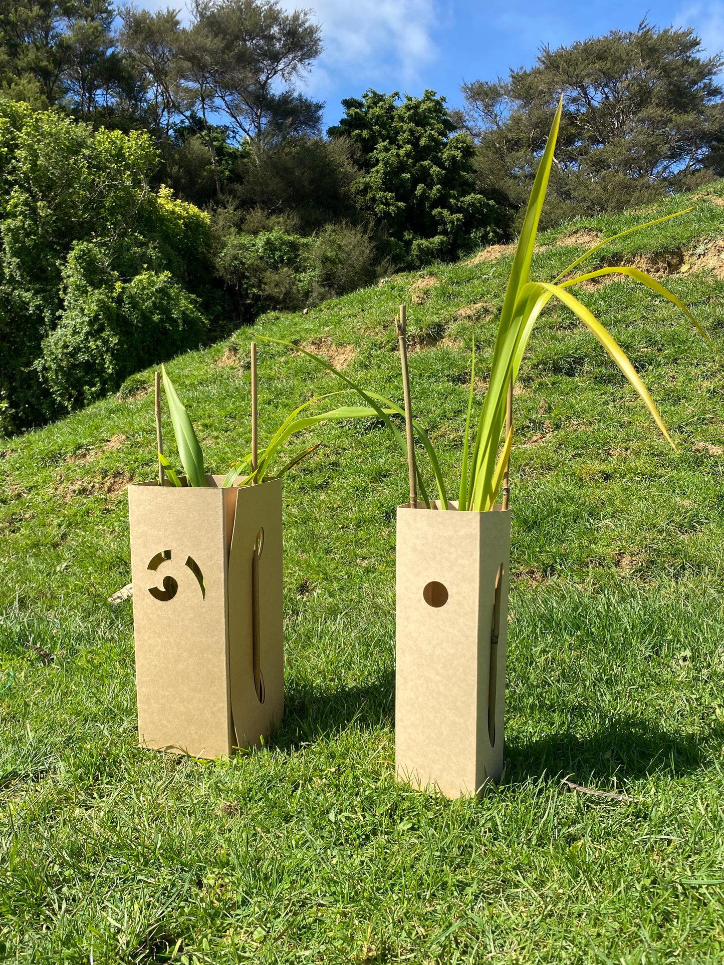 Mohua Multiguard - Economy