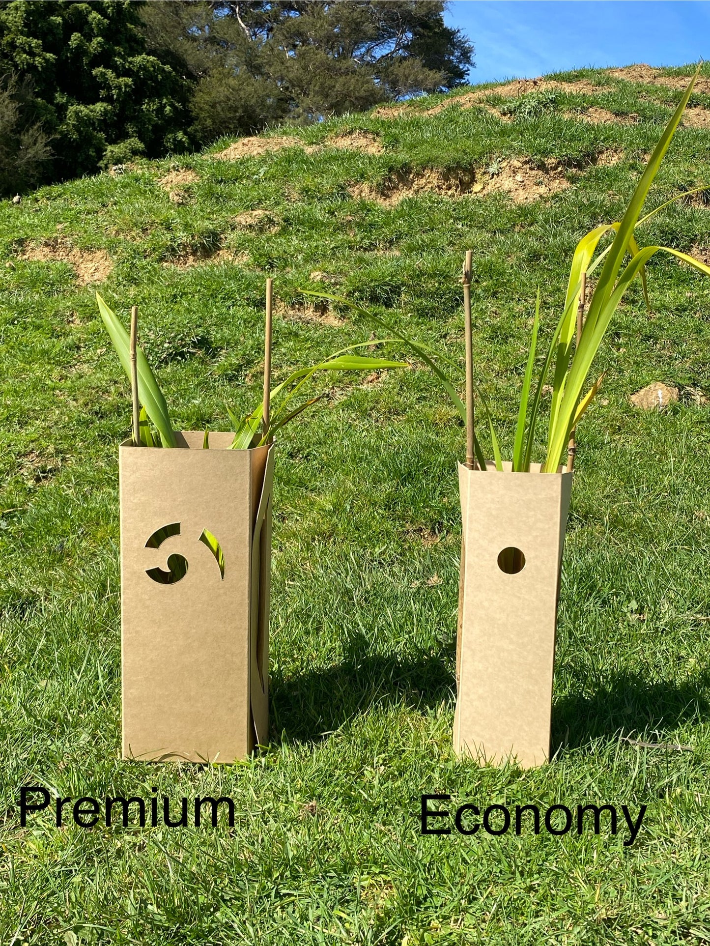Mohua Multiguard - Economy